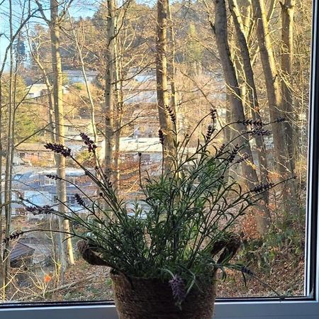 Am Wald Lejlighed Waldkirch Eksteriør billede